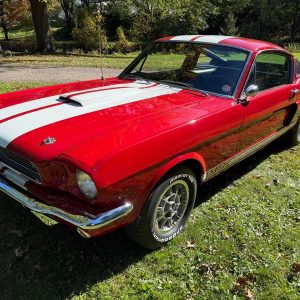 1966 Shelby GT350